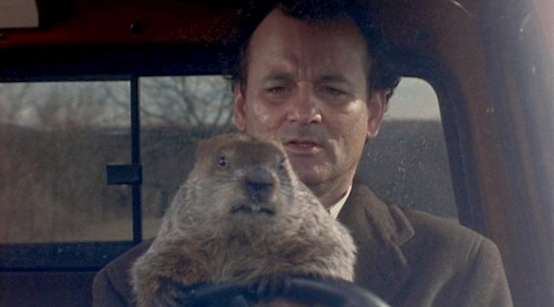 6. Groundhog Day