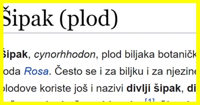 Ovo je mnoge iznenadilo: Znate li kako se u nekim dijelovima Hrvatske zove šipak?
