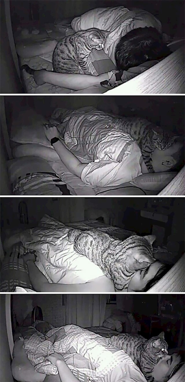 Instalirao je kameru da vidi što mu maca radi noću