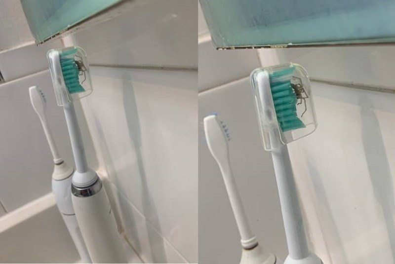 Ok, netko treba novu četkicu