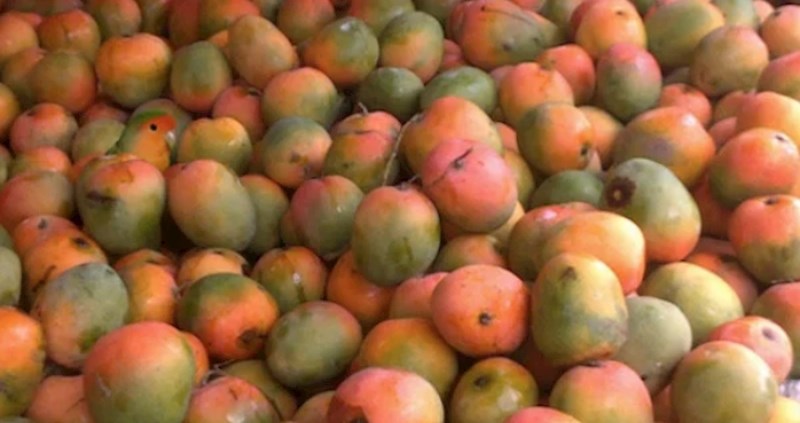 Na svakoj od ovih fotografija nalazi se genijalan detalj koji nije lako uočiti