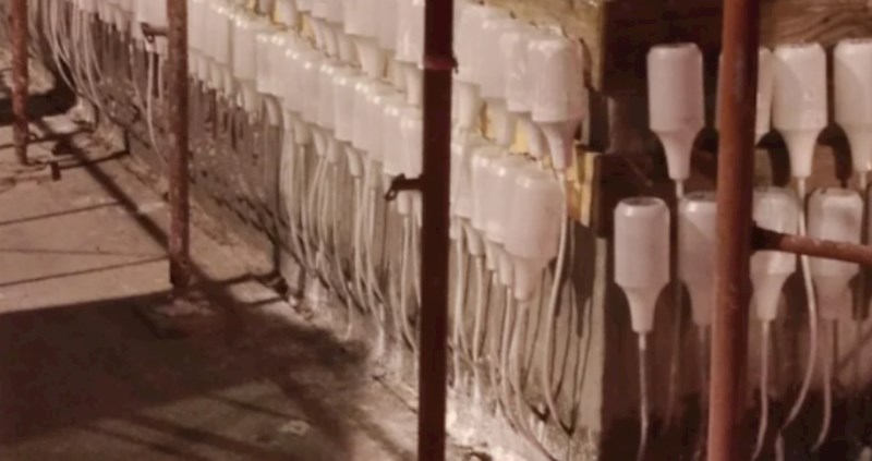 Fotka iz Zagreba zbunjuje ekipu na internetu: što su ove bočice na zgradi u izgradnji?