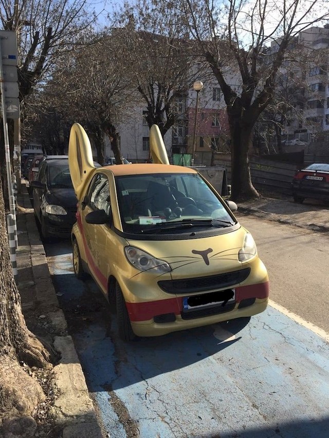 Je li ovo mačka ili zec?
