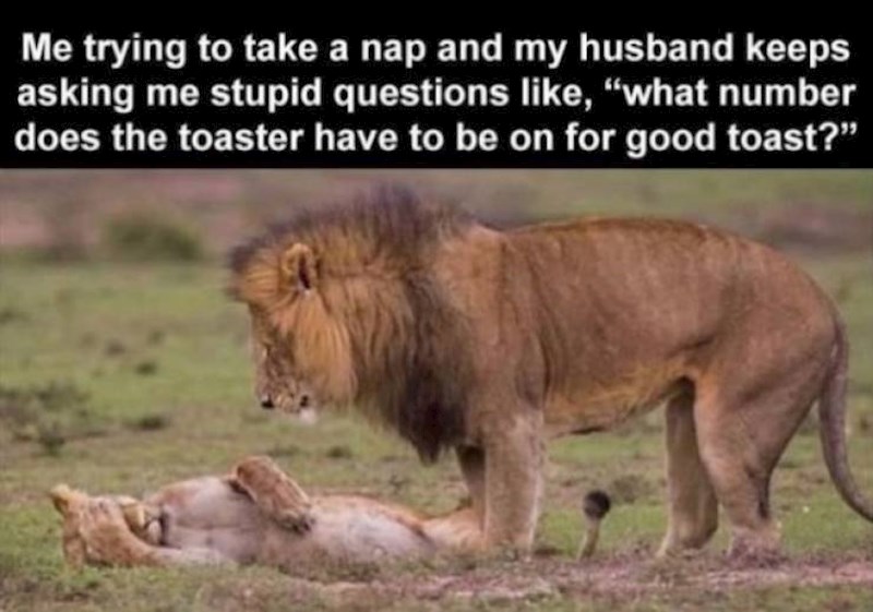 Ja dok pokušavam spavati, a muž postavlja pitanja tipa: Gdje je ona velika žlica s kojom volim jesti juhu?