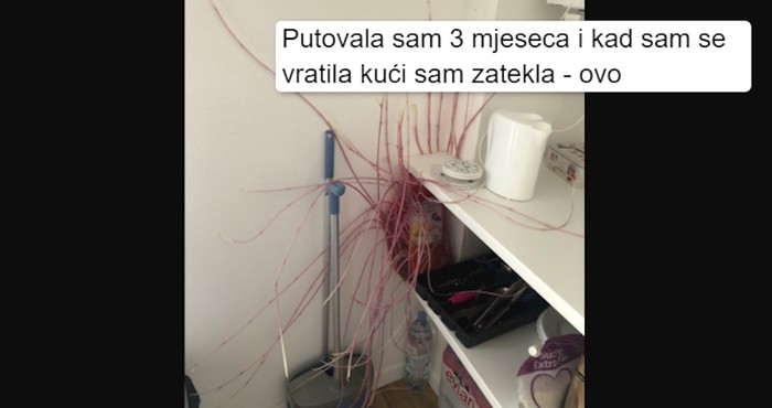 15 ljudi koji su snimili stvari koje su, nema sumnje, ispale iz horor filmova