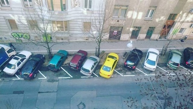 Nagrada za najbolji parking ide svim ovim ljudima