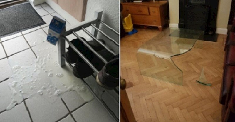 12 ljudi koji stvarno imaju najgori dan u životu