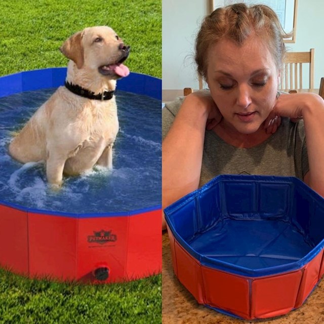 Kupila sam veliki bazen za psa