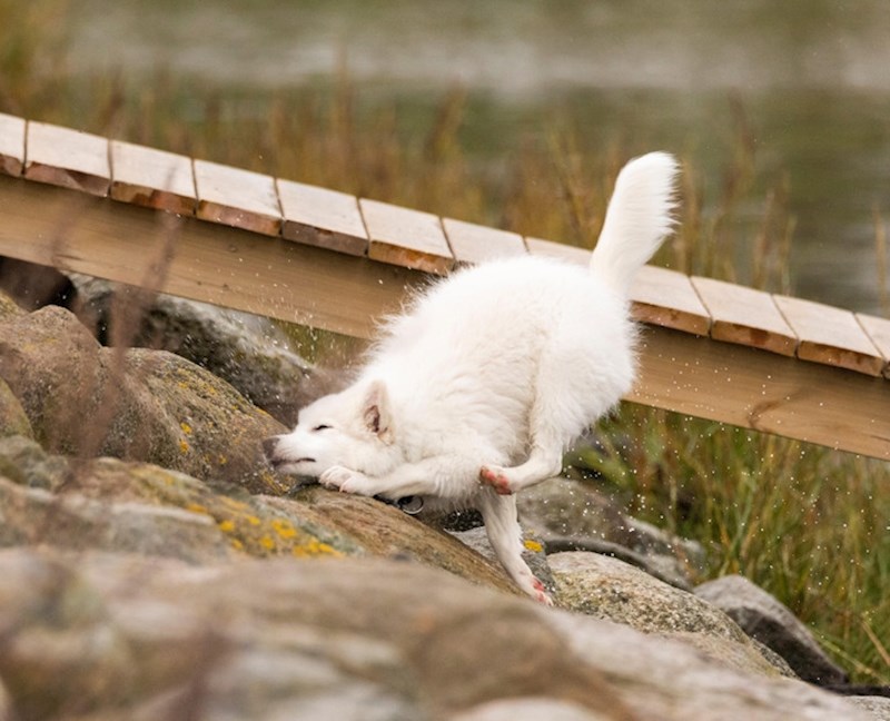 Poskliznuo se na mokre stijene