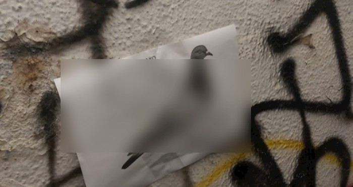 Netko po Varaždinu lijepi ove oglase, nikome nije jasno što se događa