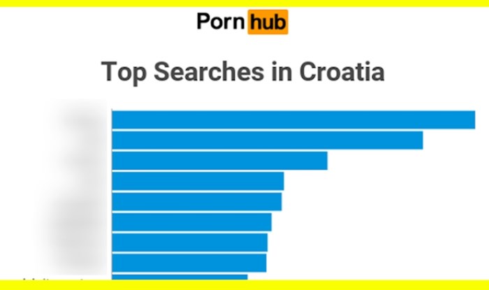 Grafika pokazuje što Hrvati najviše traže na najpopularnijoj stranici za odrasle. Nismo maštoviti