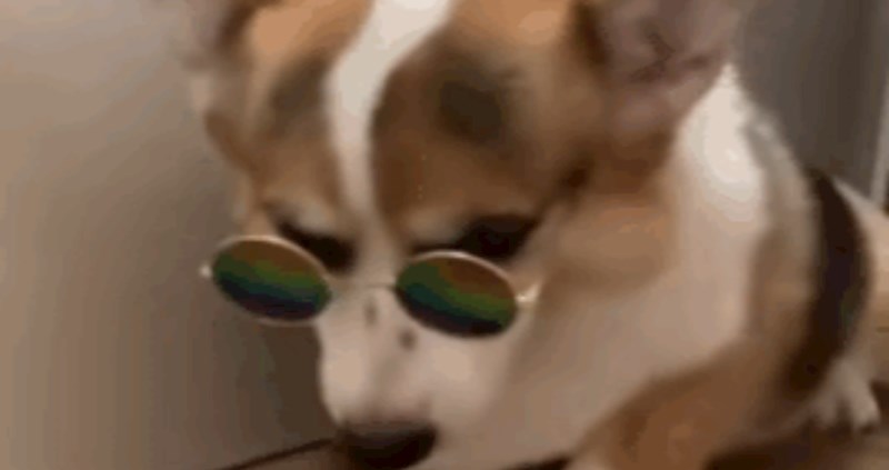 Ovako cool korgija još niste vidjeli