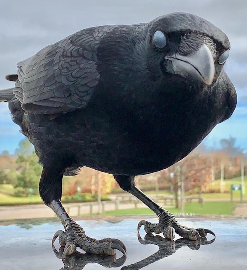 "Fotkao sam ju baš kad je trepnula, izgleda kao iz horora"