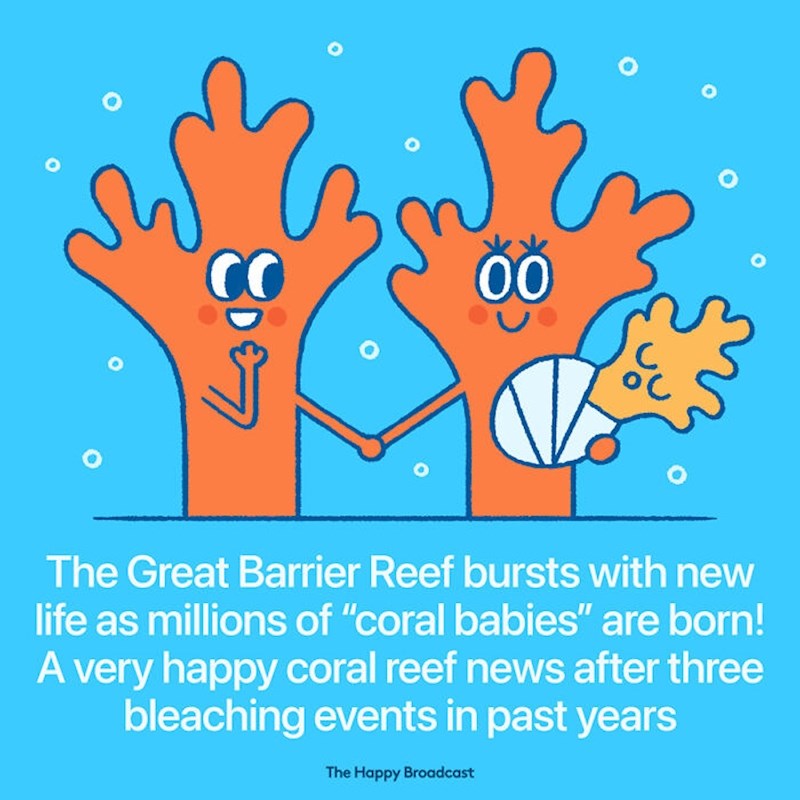 Veliki koraljni greben se oporavlja!