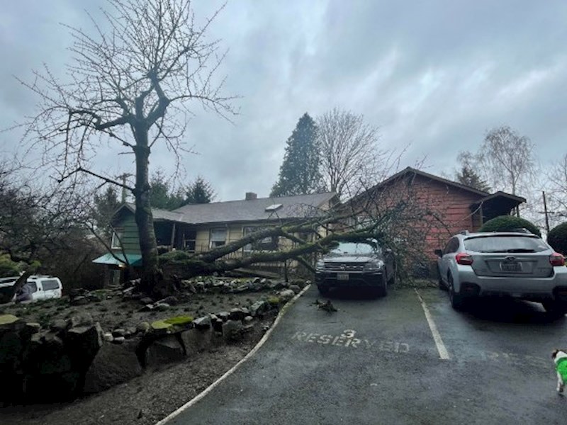 17. Nedavno je kupio ovaj auto