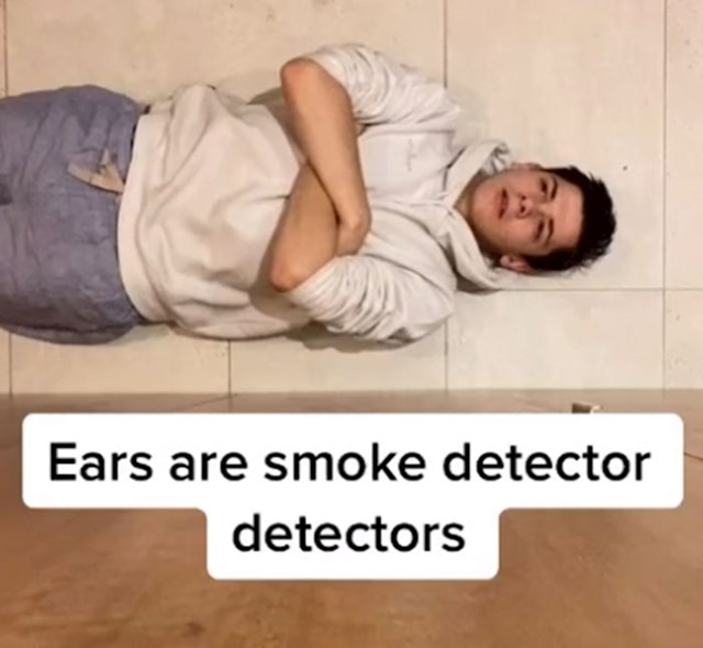 Uši su detektori detektora dima
