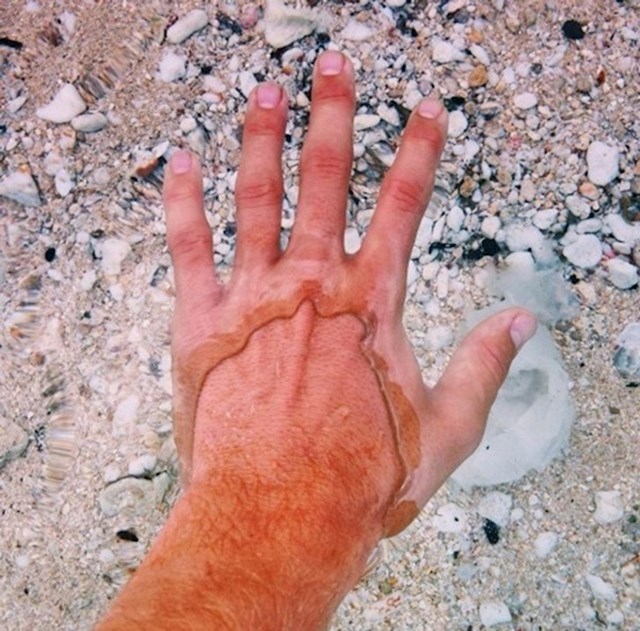 Voda toliko prozirna da izgleda kao da ima kožu u dvije boje