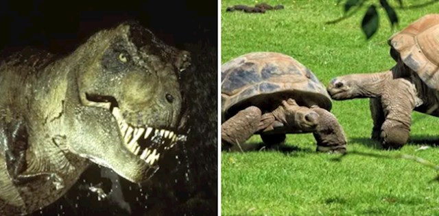 Svi zvukovi dinosaura iz Jurskog parka su zapravo zvukovi kornjača