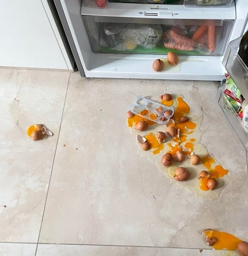 "A samo sam željela napraviti brzinski doručak prije posla."