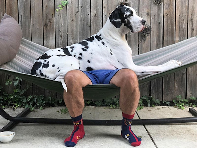 Vidi li netko mog dečka?