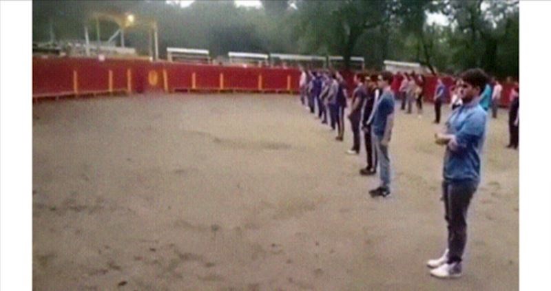 Pogledajte kako se ponaša bik u areni punoj ljudi ako mu nitko ne prijeti