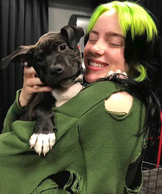 19. Billie Eilish