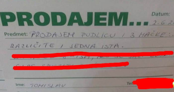 Hit oglas se širi internetom: Objavio da prodaje pudlicu i mačke, morate vidjeti upute za zvanje