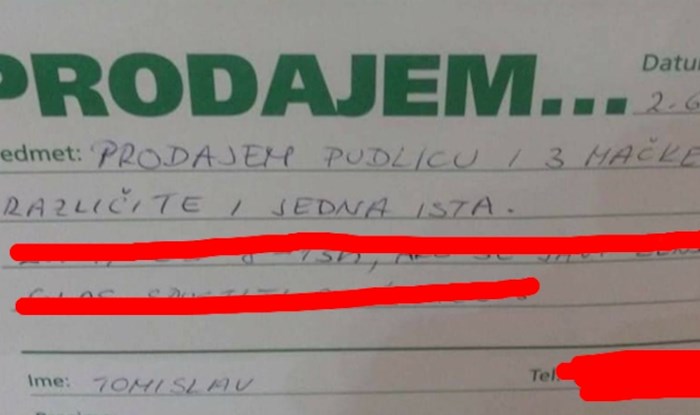 Hit oglas se širi internetom: Objavio da prodaje pudlicu i mačke, morate vidjeti upute za zvanje