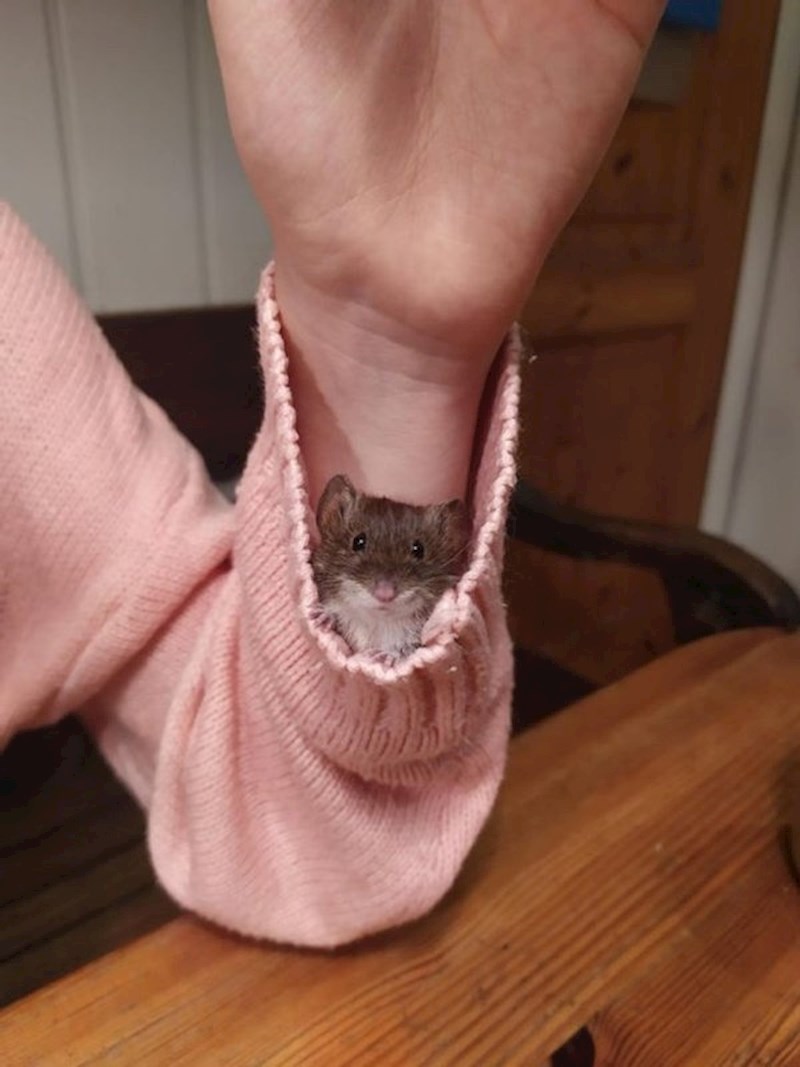 Stvarno smo nerazdvojni