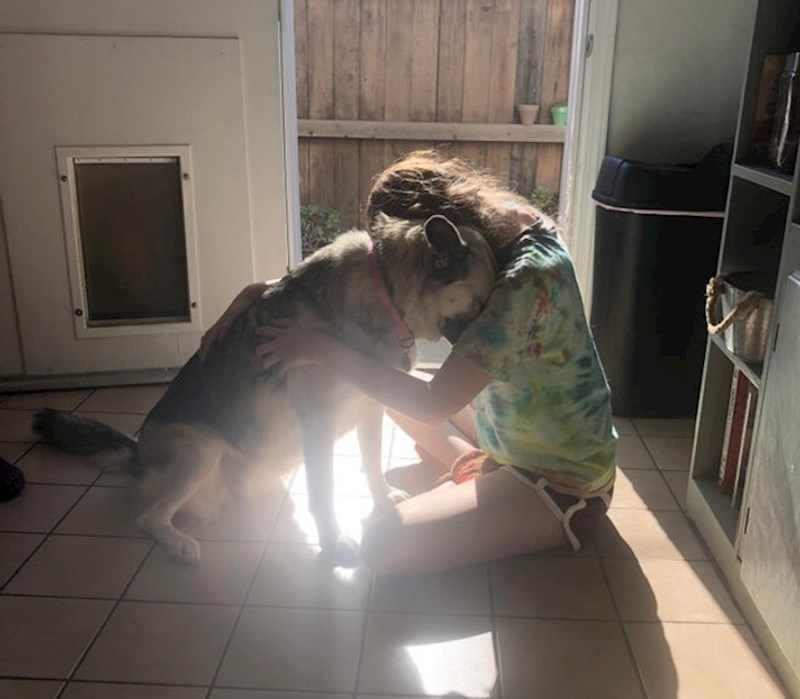 Psi zaista pružaju bezuvjetnu ljubav.