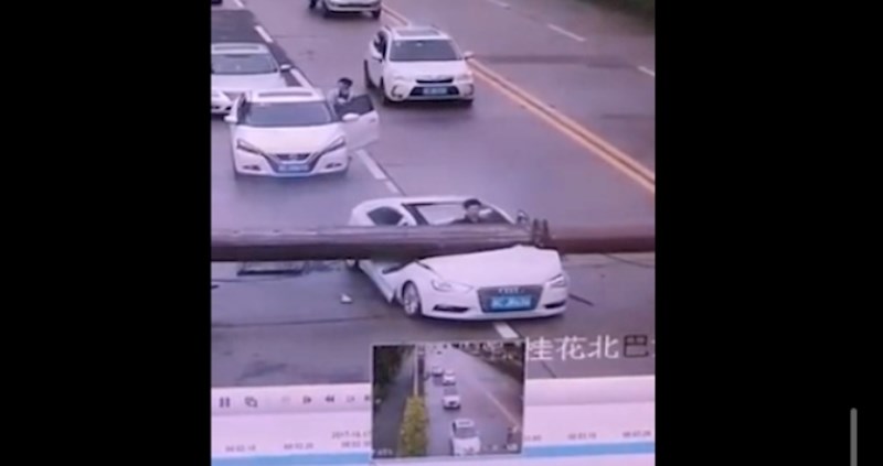 Kompilacija koja se gleda u jednom dahu: Ovi ljudi su najveći sretnici na svijetu