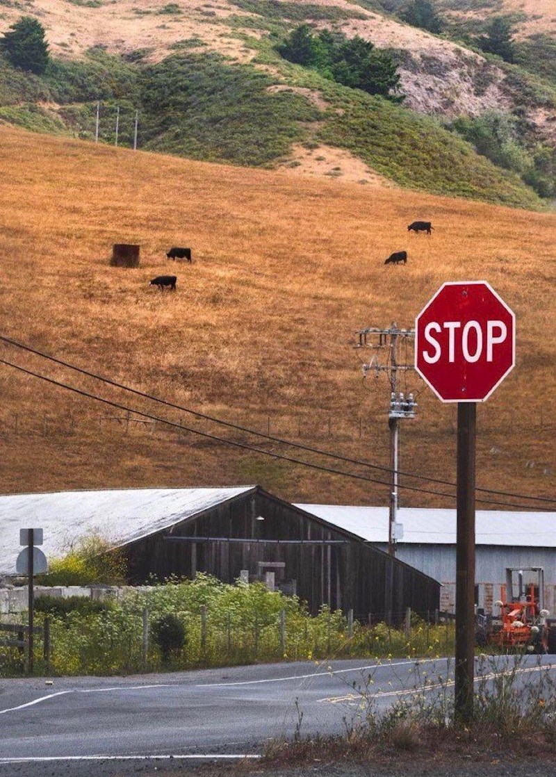 Ovo je jedna fotografija