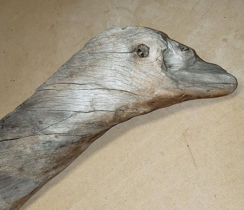 Naplavina koja podsjeća na glavu od patke