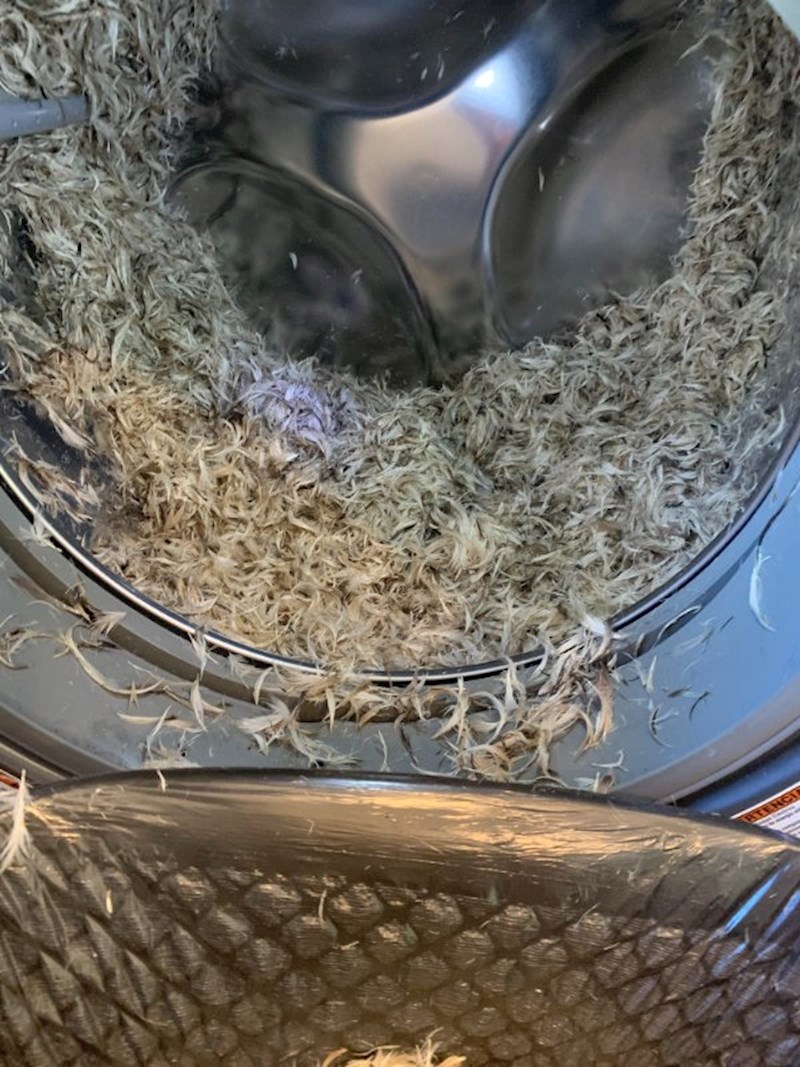 Stavila je prati pernati jastuk