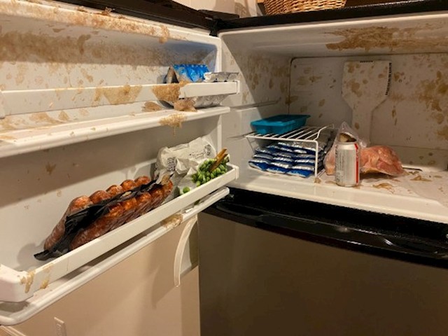 6. Ujutro se sjetio da je sinoć poželio hladnu coca colu i stavio je u zamrzivač