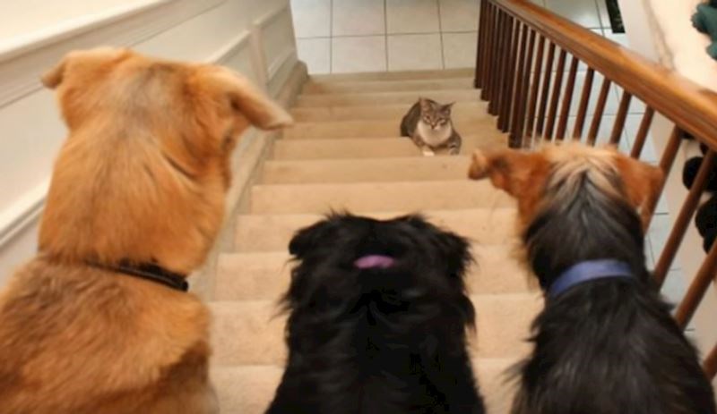 Je li ovo neka zamka?