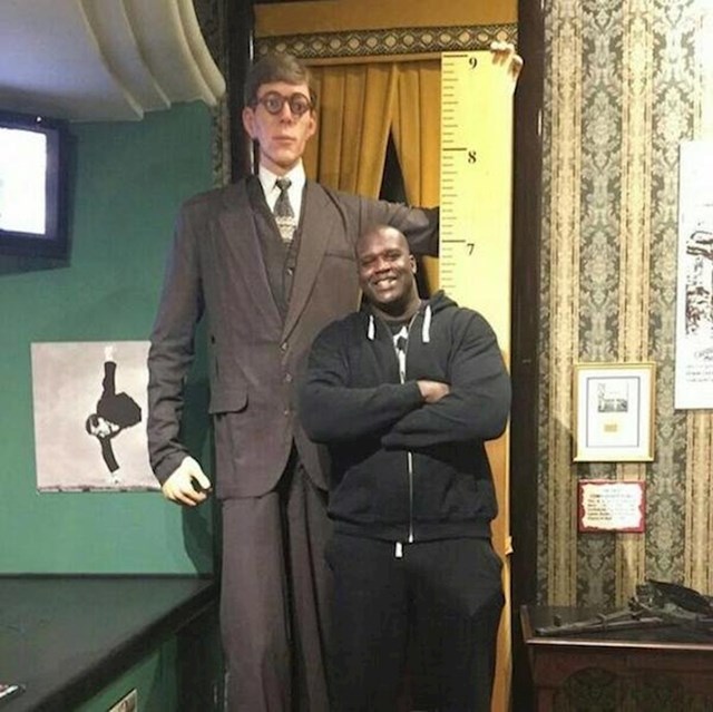 Shaquille O'Neal stoji kraj kartonske verzije najvišeg čovjeka na svijetu Roberta Wadlowa (272 cm)
