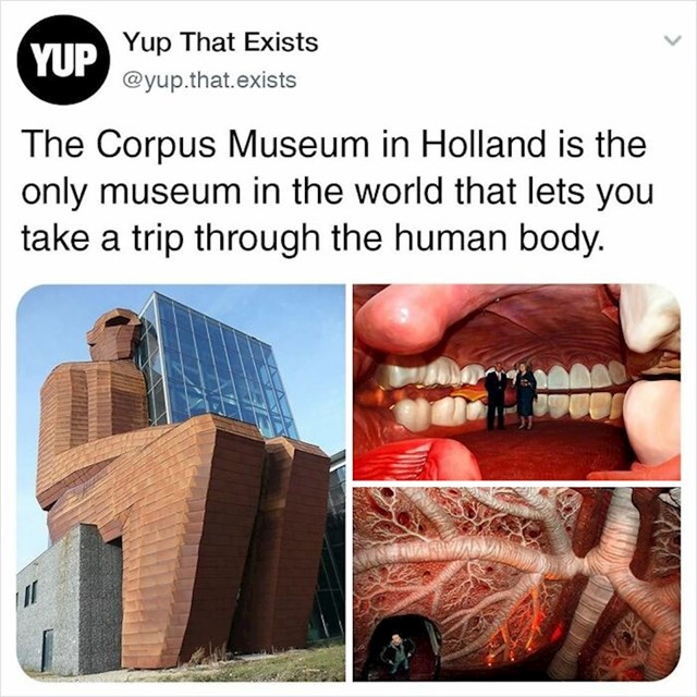 U Nizozemskoj postoji muzej koji vam omogućava putavanje kroz ljudsko tijelo