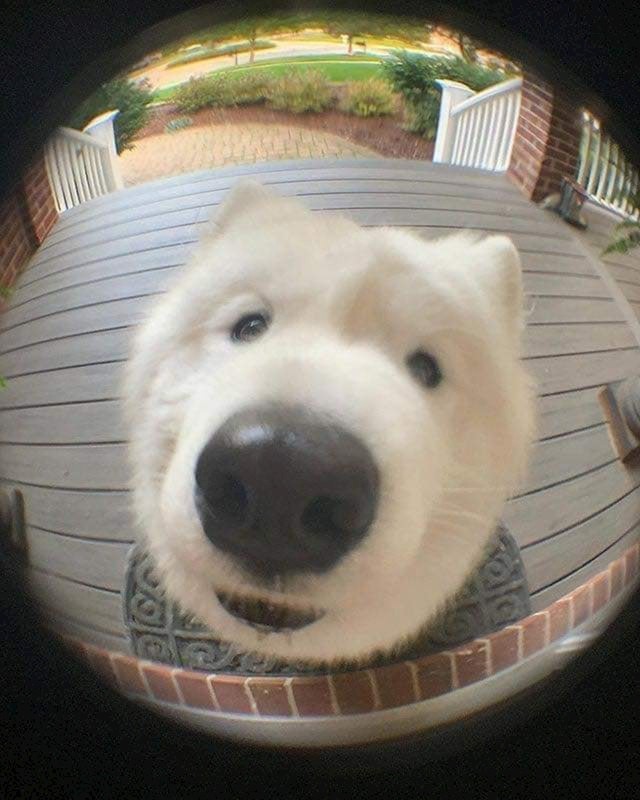 Halooo? Ima li koga??