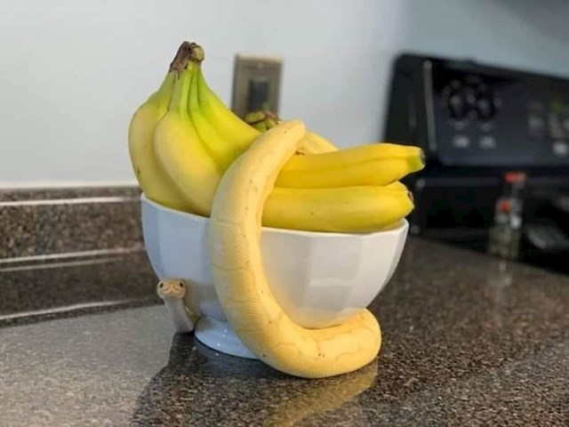 Može jedna banana? AAAAAAAAAAAAAAAAAAAAAAAAAAAaaa