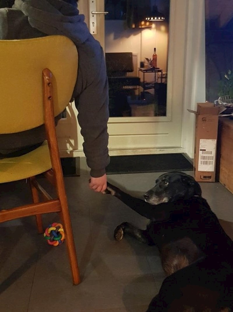 On se samo želi držati za ruke