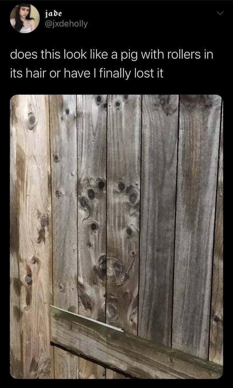 Vrata izgledaju kao svinja s viklerima