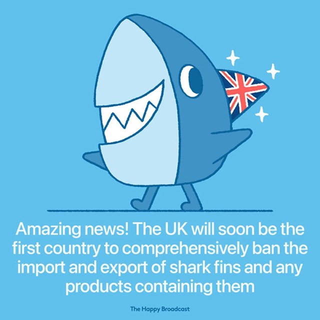 Velika Britanija će uskoro biti prva zemlja koja će potpuno zabraniti proizvode koji sadrže peraje morskog psa