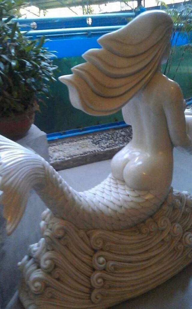 Izgleda da sirene imaju stražnjicu