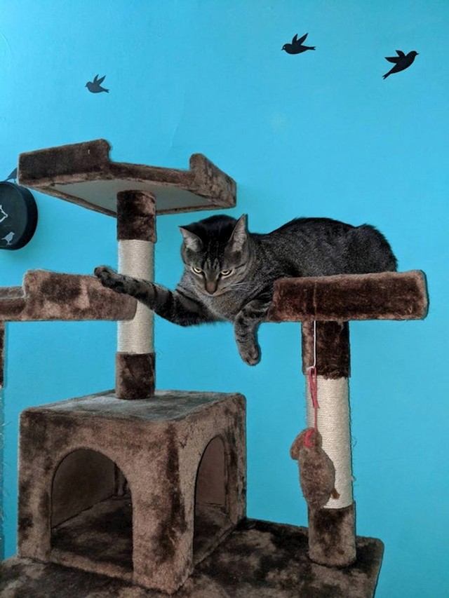 Ovo zaista izgleda kao preloš photoshop