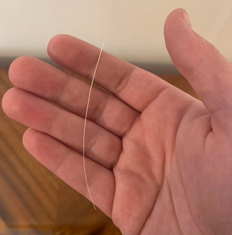 Moja mačka je uginula prije 6 mjeseci. USred selidbe sam i pronašao sam jedan njegov brk iza kauča, on je još tu sa mnom!