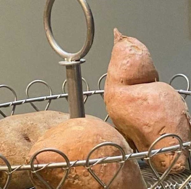 Batat ili ptica?