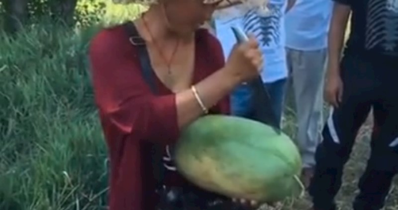 Ovo je genijalno! Morate vidjeti kako Mongoli režu lubenicu