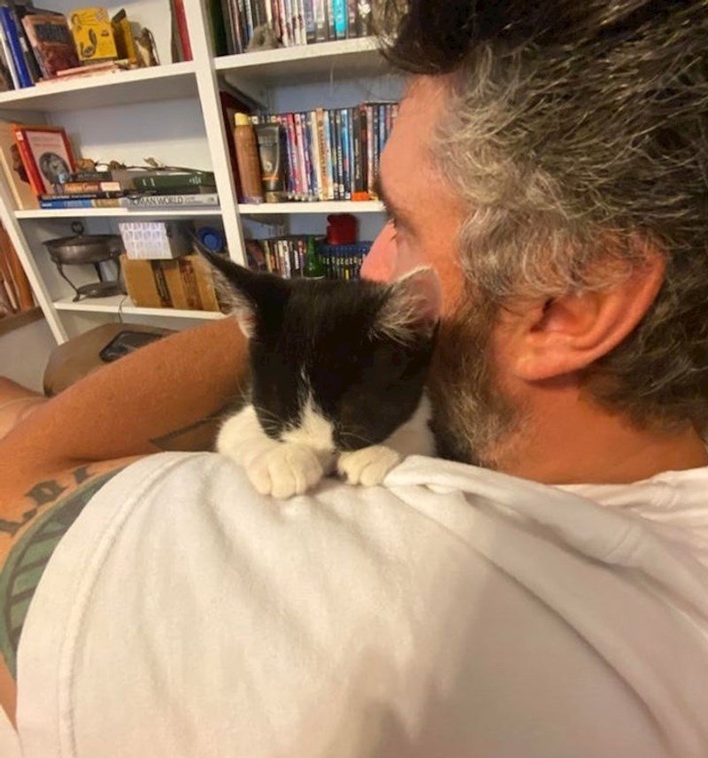 Moj muž jučer: nećemo zadržati tu mačku lutalicu; moj muž danas: tiše, probudit ćeš Olivera