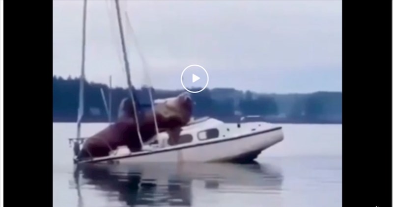 Nećete vjerovati tko je preuzeo ovaj brod i koliki su